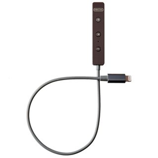 Apple Lightning auf 3.5 mm Kopfhreranschluss Jack Adapterkabel (30cm)  mit Fernbedienung & Mikrofon (Apple zertifiziert)