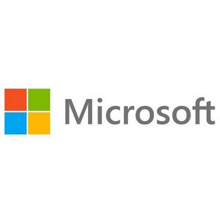 Microsoft Reparatur